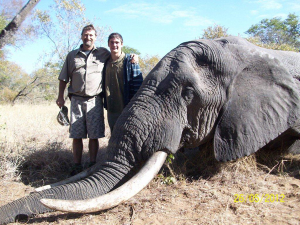 стоимость охоты на слона